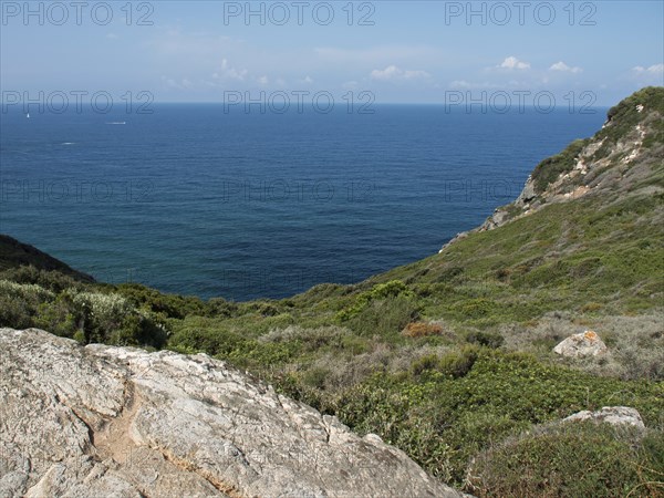 Rocks and vegetation at the edge of the deep blue sea under a blue sky, ajaccio, corsica, france