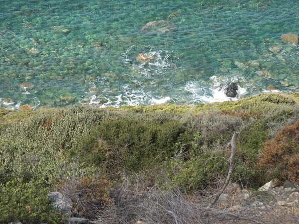 Clear turquoise waters and rocky coastline, green plants and gentle sea, ajaccio, corsica, france