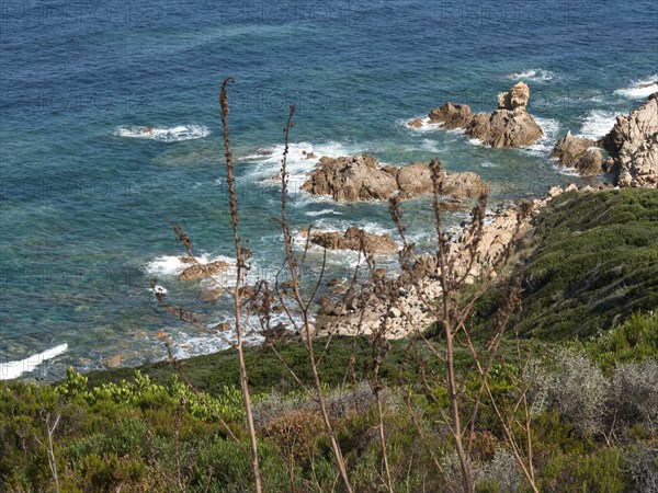 View of a rocky coastline with wild waves, surrounded by green bush in a natural and rugged
