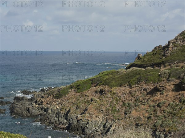 Rocky coast with dense greenery and calm sea, cloudy blue sky over the sea, ajaccio, corsica,