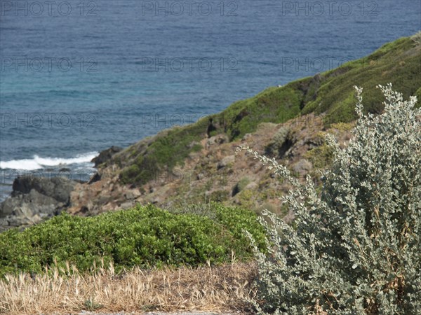 Coastal landscape with a view of the sea, green bushes and rocks in the foreground, ajaccio,