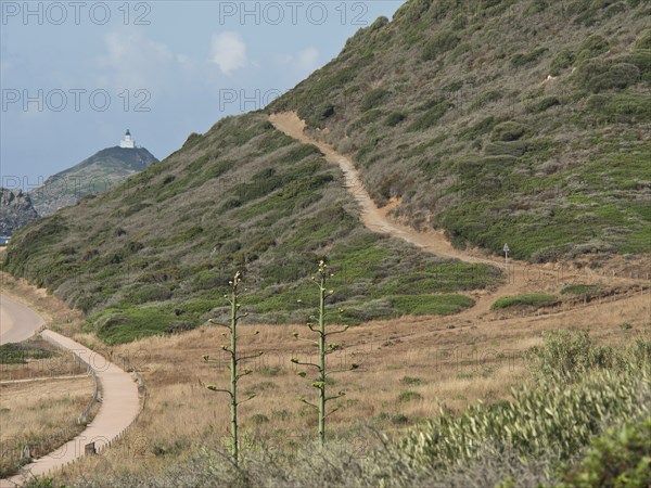 Winding hiking trails through green hills and bushes, with a lighthouse in the distance, ajaccio,