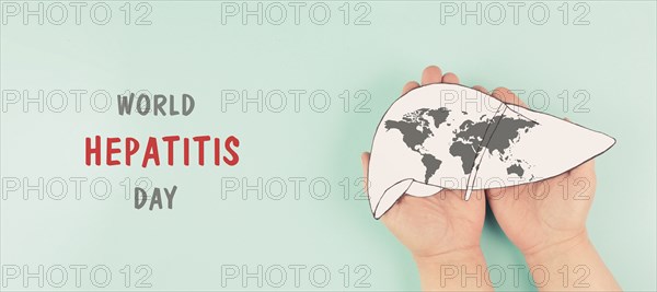 Liver organ infected with virus, world hepatitis day, diagnosis of cancer, cirrhosis health issue,