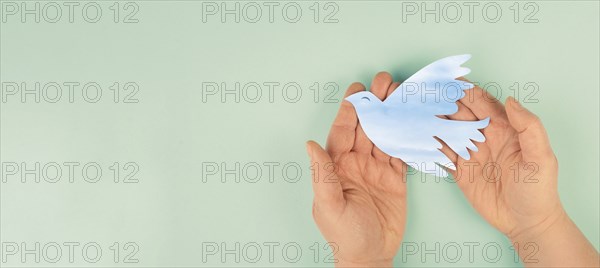 Dove flying from hand, international peace day, faith, freedom, charity and help concept,