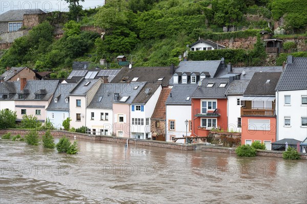 Flood of the river Saar, Saarburg in Saarland, Germany, flooded trees and paths, high water level,