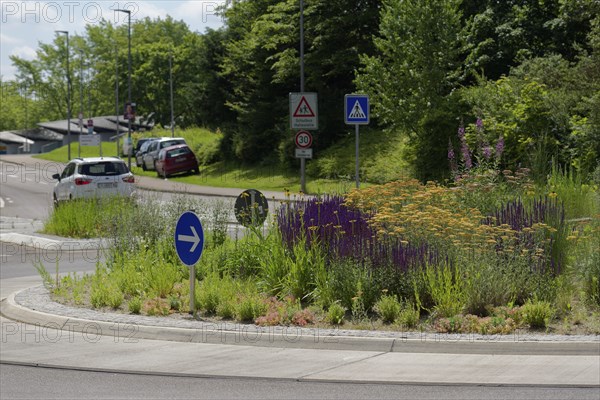 Flowering traffic island, flowering area, roundabout, road traffic, car, zebra crossing, housing