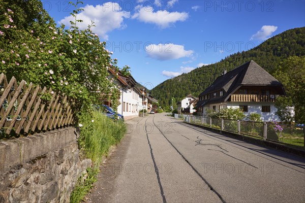 Street with houses, hunter's fence and hedge roses in the historic district of Geschwend, Todtnau,