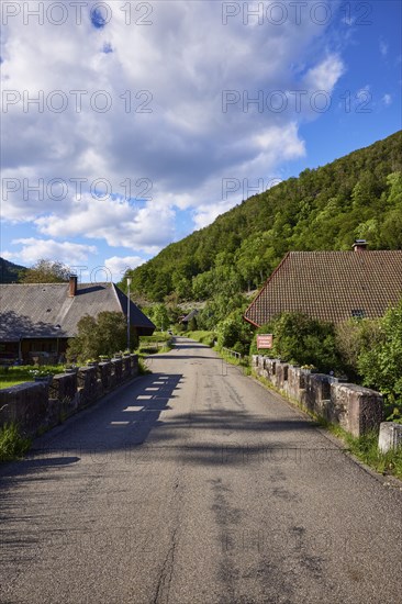 Old bridge with stone walls, flower boxes, road and Black Forest houses in the historic district of