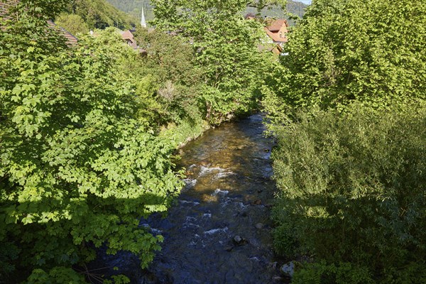 Prägbach near the district of Geschwend, Todtnau, Black Forest, district of Lorrach,