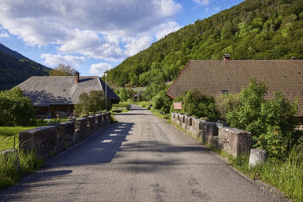 Old bridge with stone walls, flower boxes, road and Black Forest houses in the historic district of