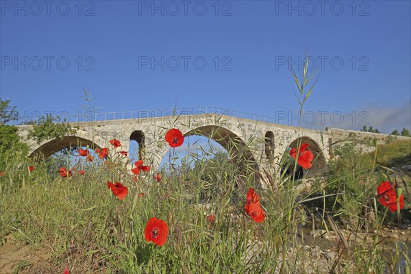 Roman stone arch bridge Pont Julien built 3rd century over the river Calavon with poppies, Roman