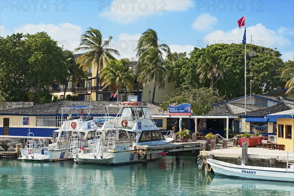 View of moored boats Dive boats moored in front of dive centre, Caribbean, Leeward Islands,