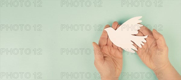 Dove flying from hand, symbol of peace and faith, freedom, charity and help concept, humanitarian