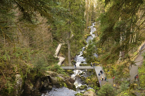 Triberg waterfall in the Black Forest, highest fall in Germany, Gutach river plunges over seven