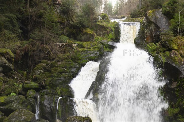 Triberg waterfall in the Black Forest, highest fall in Germany, Gutach river plunges over seven