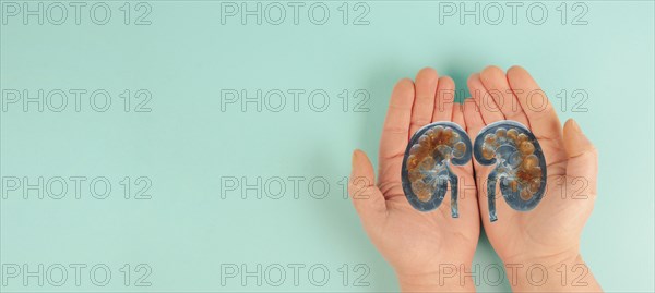 Kidney organ disease, world kidney day, health problems, donation and transplantation, medical