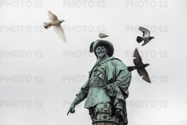 Seagull on statue or statue of Gustaf II Adolf by Bengt Erland Fogelberg, Gothenburg, Västra