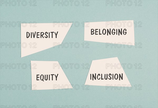 Diversity, equity, belonging and inclusion, human rights, fairness and respect, no discrimination