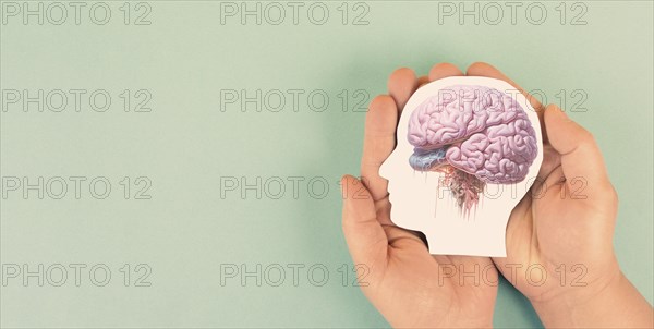 Holding a brain in the hands, Parkinson disease, Alzheimer awardness, mental disorder dementia,