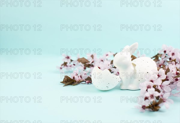 Easter bunny or rabbit with eggshell, pink cherry blossoms, holiday greeting card, spring season
