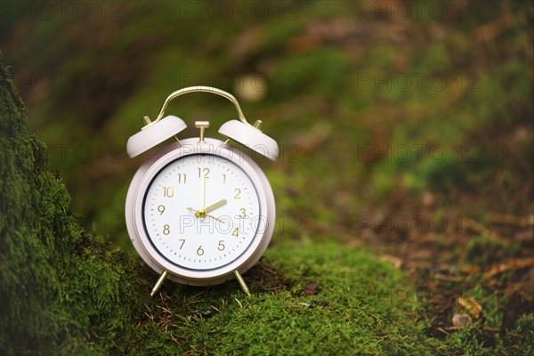 Alarm clock in the green forest, switch to daylight saving time in spring, summer time changeover