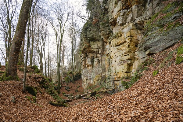 Devil Gorge at the Eifel, Teufelsschlucht with mighty boulders and canyon, hiking trail in Germany,