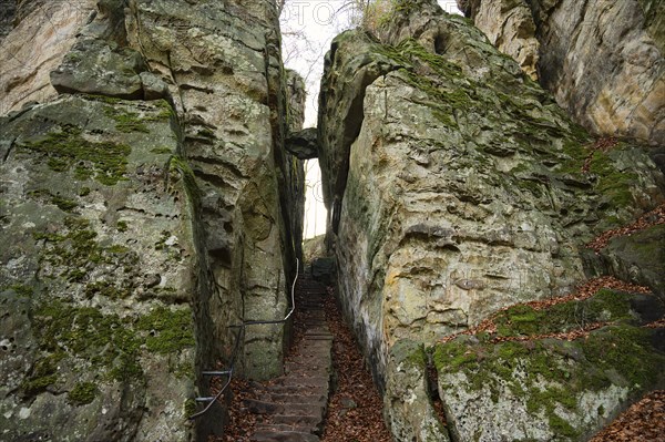 Devil Gorge at the Eifel, Teufelsschlucht with mighty boulders and canyon, hiking trail in Germany,