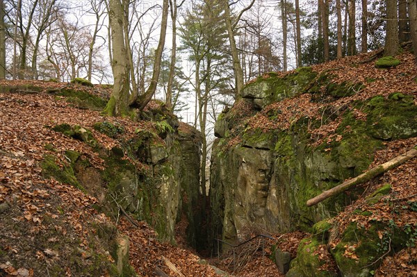 Devil Gorge at the Eifel, Teufelsschlucht with mighty boulders and canyon, hiking trail in Germany,
