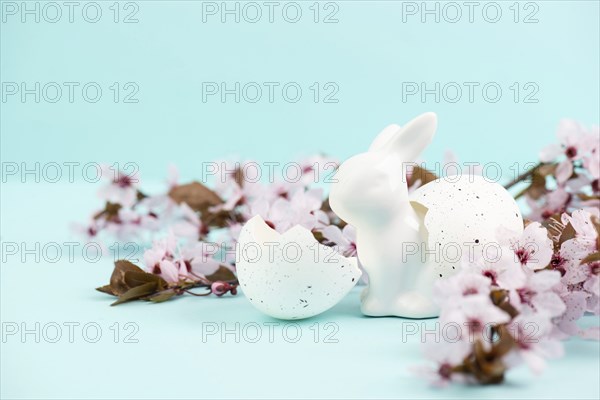 Easter bunny or rabbit with eggshell, pink cherry blossoms, holiday greeting card, spring season