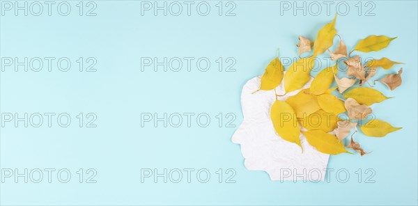 Alzheimer awareness day, dementia diagnosis, ParkinsonÂ´s disease, memory loss disorder, brain with