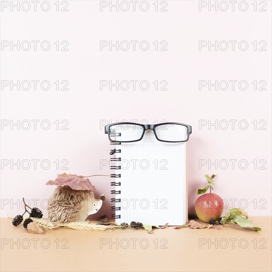 Empty notebook with eyeglasses, an apple and a hedgehog, autumn template with colorful leaves,