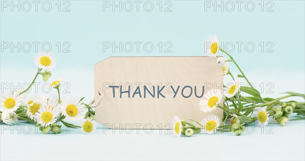 Thank you card surrounded by flowers, being thankful, support, help and charity concept, positive