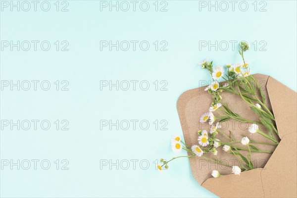 Envelope with daisy flowers, greeting card for mother and grandmother, birthday in summer, gift