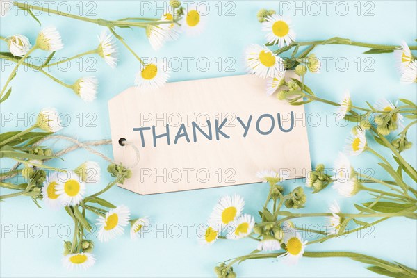 Thank you card surrounded by flowers, being thankful, support, help and charity concept, positive