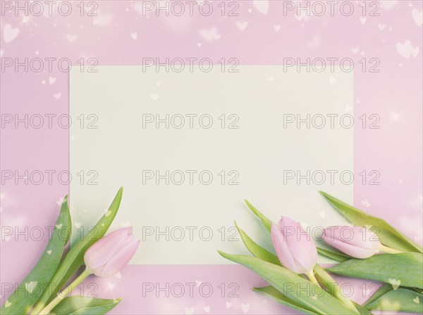 Tulips greeting card with hearts for birthday, easter holiday, valentines day, mothers day, spring