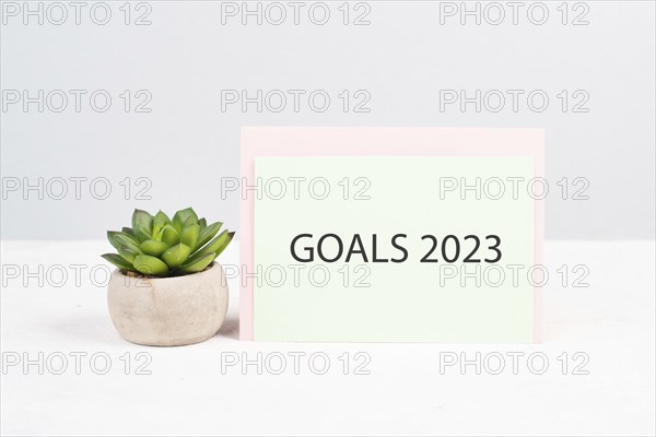 Goals 20223, new year resolution, making plan for the future, business and education concept,
