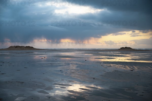 Wadden sea at low tide, North sea beach landscape, coast on Romo island in Denmark at sunset,