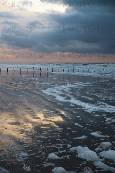 Wadden sea at low tide, North sea beach landscape, coast on Romo island in Denmark at sunset,