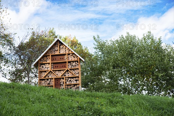Wooden insect hotel, habitat for bugs and bees, rescue house, environment and ecology conversation,