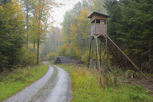 High seat in the forest, Spessart, Bavaria, Germany Hunting blind in beech forest, Bavaria,