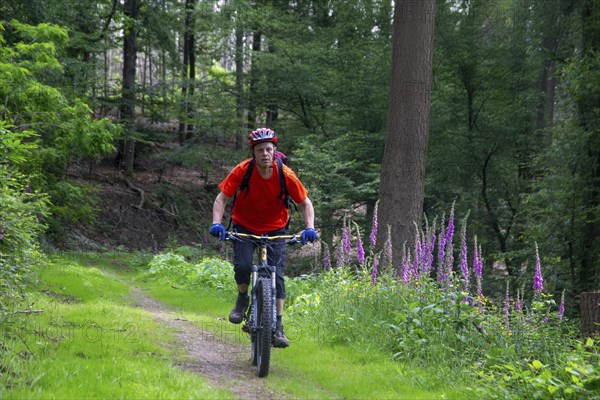 Mountain biking in the Odenwald, here on the Birkenau circuit in the Bergstrasse-Odenwald