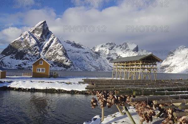 Winter landscape with snow-covered mountains, by a fjord and wooden buildings, racks for drying