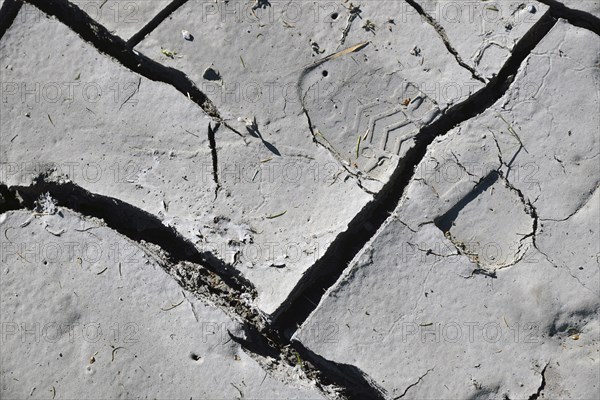 Farmer's bootprint in dried and cracked mudpan