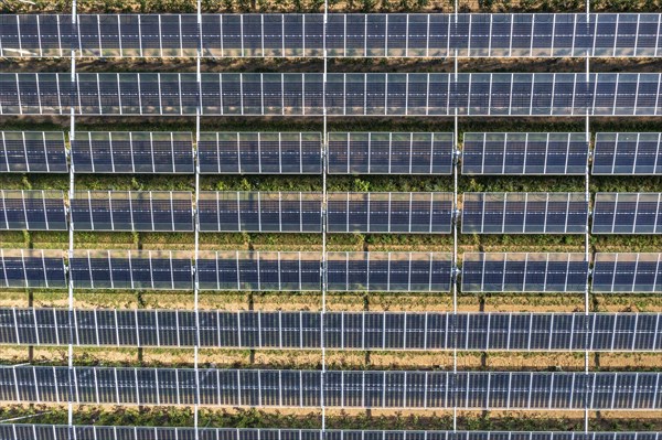 Agri-photovoltaic test plant, an apple orchard with two different systems of PV modules was roofed