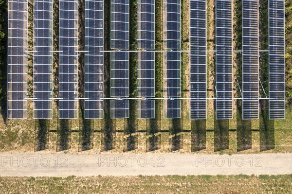 Agri-photovoltaic test plant, an apple orchard with two different systems of PV modules was roofed