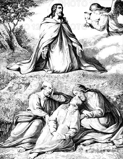 Jesus in prayer, Gospel of Mark chapter 14, angel with chalice, sleeping, outdoors, New Testament,