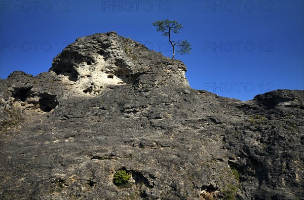 Dolomite rocks, sea of rocks, Wental, Barholomä, Swabian Alb, Baden-Württemberg, Germany, Europe