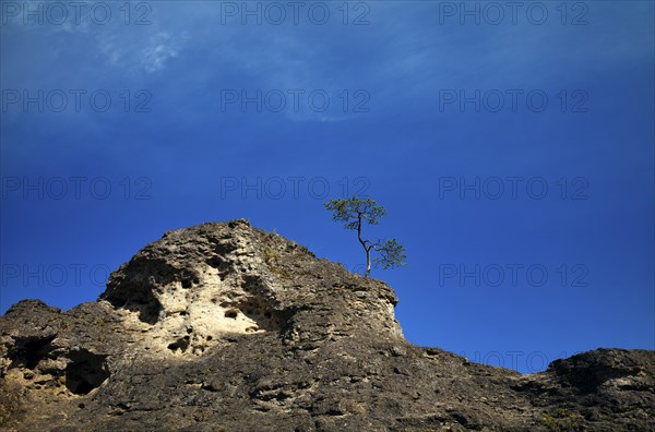 Dolomite rocks, sea of rocks, Wental, Barholomä, Swabian Alb, Baden-Württemberg, Germany, Europe