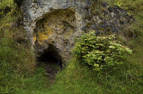 Rock cave, dolomite rock, sea of rocks, Wental, Barholomä, Swabian Alb, Baden-Württemberg, Germany,