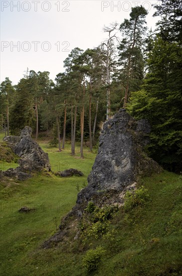 Dolomite rocks, sea of rocks, Wental, Barholomä, Swabian Alb, Baden-Württemberg, Germany, Europe
